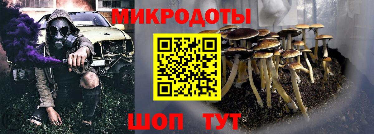 Избербаш  Псилоцибиновые грибы мицелий  Вход с VPN 