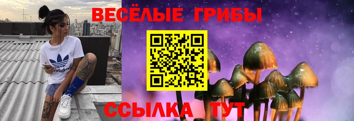 Галлюциногенные грибы GOLDEN TEACHER Избербаш